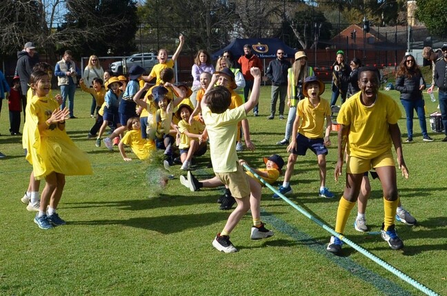 Sports Day Tug a war.jpg