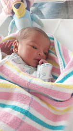 Baby Sasha